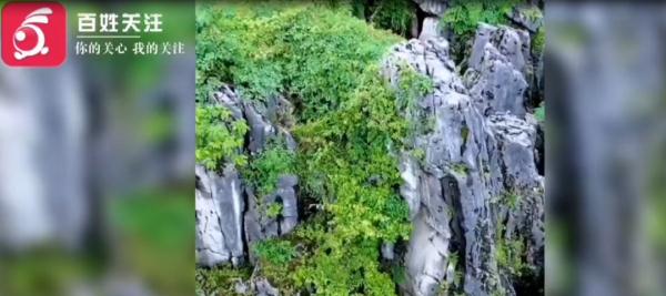 贵州一公园惊现2亿年前“贵州龙”化石？真实情况是……