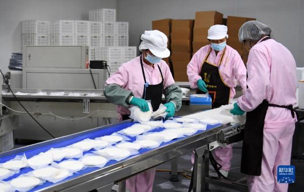 陕西“东大门” 雄关展新姿 陕西“东大门” 雄关展新姿