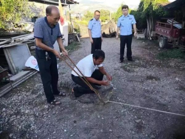 网购银环蛇当宠物？不是什么宠物都能养！