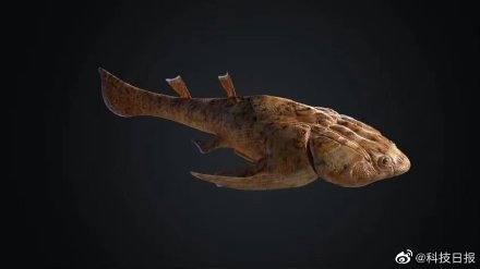 4亿年前的鱼居然这个模样 4亿年前的鱼居然这个模样