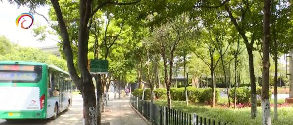 吓人了！黑绿相间、吐着丝倒挂树上……这些东西千万别碰！