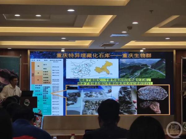 4.36亿年！重庆又有重大发现