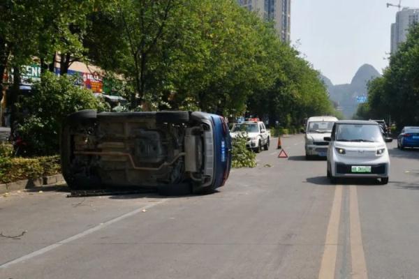 想啥呢？都准备到家了，还非要去撞树！这下可咋回家……