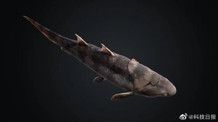 我国科学家改写“从鱼到人”演化史