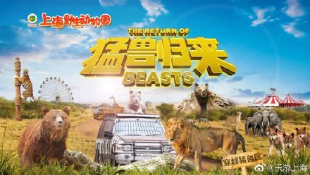 隔窗近距离观赏虎豹熊狼,上海野生动物园车入区完成改造 隔窗近距离观赏虎豹熊狼,上海野生动物园车入区完成改造