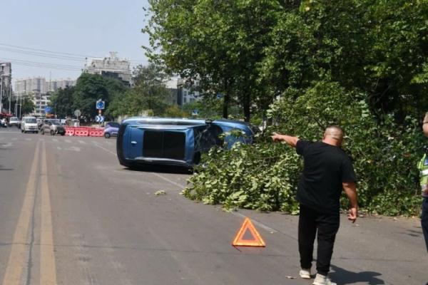 想啥呢？都准备到家了，还非要去撞树！这下可咋回家……