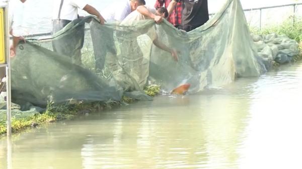 见到报警!安徽又发现了! 见到报警!安徽又发现了!