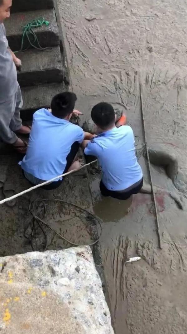 失明老人跌落3米高桥，下一秒……
