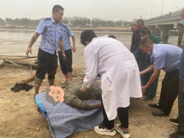 失明老人跌落3米高桥，下一秒……