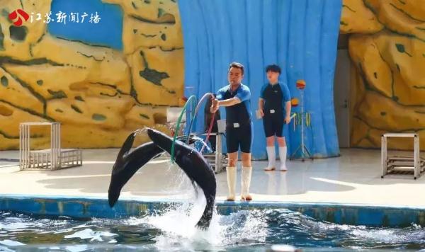 国庆亲子游正热 萌娃在这与动物零距离互动啦