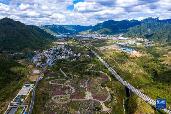 重庆酉阳：赏花武陵山间