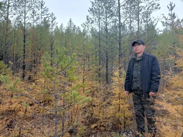 大兴安岭护林员：看着林木长大，这些年工作没白干