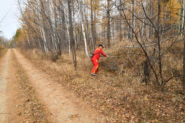 大兴安岭护林员：看着林木长大，这些年工作没白干
