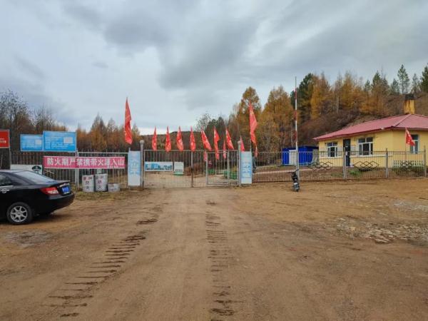 大兴安岭护林员：看着林木长大，这些年工作没白干