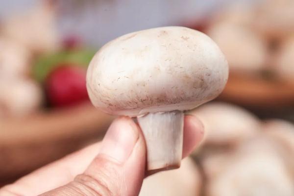 贴秋膘可以吃它！高蛋白、低脂肪，一口一个味道好~