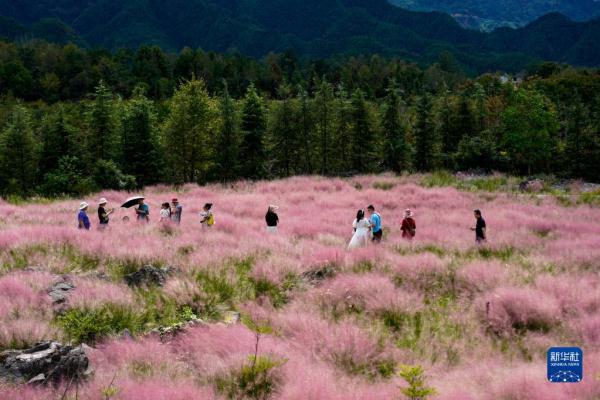 重庆酉阳：赏花武陵山间