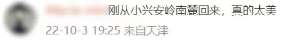 网友脱口而出：“树树皆秋色，山山唯落晖”！
