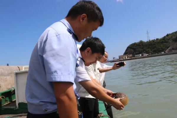 男孩交给警察1只4眼蓝血小怪物，网友：还真没见过