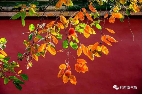 今日重阳,你知道哪些关于重阳节的天气谚语? 今日重阳,你知道哪些关于重阳节的天气谚语?