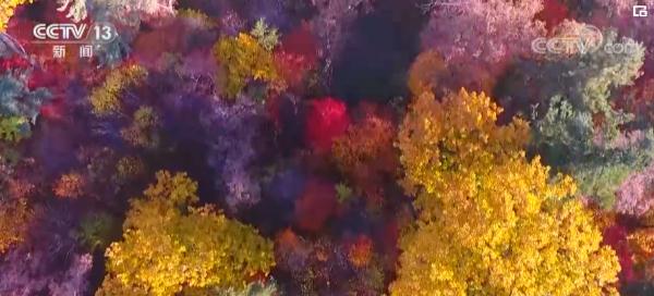 山河锦绣 最美是“丰”景