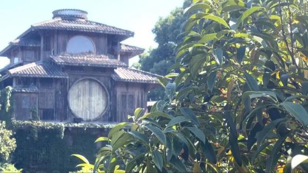 西湖赏桂避堵秘籍,只因上了这辆车... 西湖赏桂避堵秘籍,只因上了这辆车...