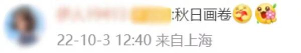 网友脱口而出：“树树皆秋色，山山唯落晖”！