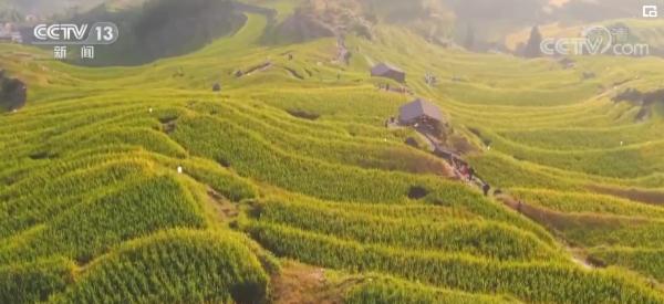 山河锦绣 最美是“丰”景