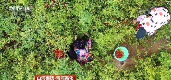 山河锦绣 最美是“丰”景