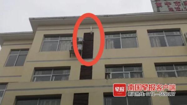 头皮发麻！南宁一养老院现巨型马蜂窝