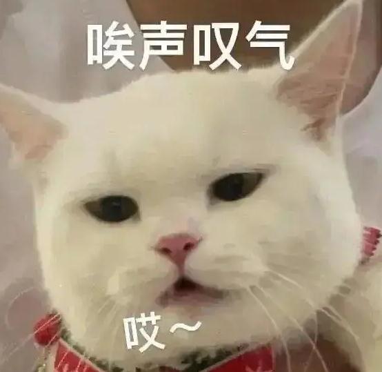 儿子不尽孝！母亲百万房产赠扶养人！