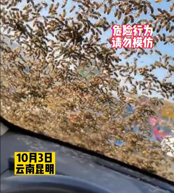 手欠！男子拿走蜂王，被蜂群爬车窗追一路…同行人：交友不慎