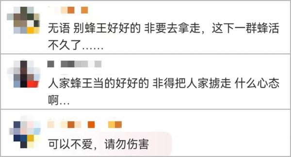 手欠！男子拿走蜂王，被蜂群爬车窗追一路…同行人：交友不慎