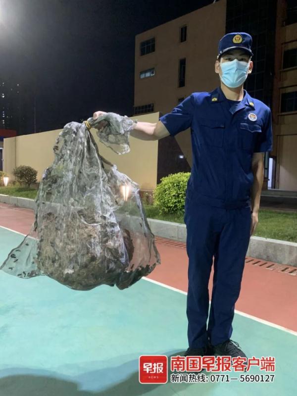 头皮发麻！南宁一养老院现巨型马蜂窝