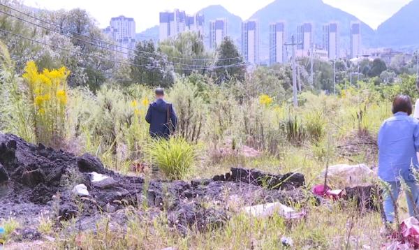 贵阳路边发现“恶魔之花”？专家提醒：发现它，及时上报！