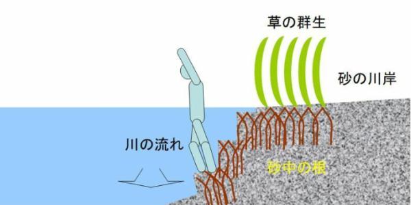 悲剧!7岁华人女孩遗体被找到,事件留下诸多疑点... 悲剧!7岁华人女孩遗体被找到,事件留下诸多疑点...