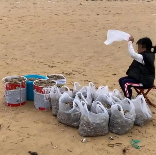 海鲜自由？海滩退潮后现大量海鲜，有人捡了30斤虾……