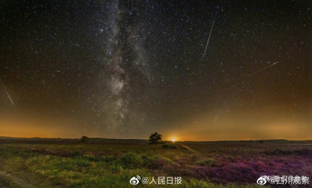 和你一起看天龙座流星雨