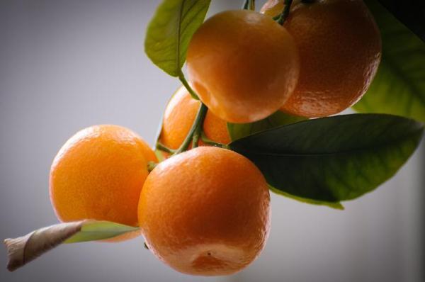 橘子吃多了会变成“小黄人”？关于吃橘子的6个真相