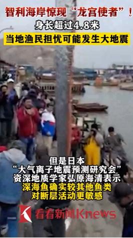 海岸惊现4.8米大鱼！渔民很担忧，因为传说...