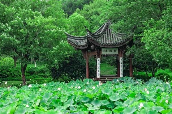 长三角这条新开通的高铁，沿途每一站都是诗画江南