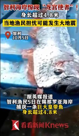 海岸惊现4.8米大鱼！渔民很担忧，因为传说...