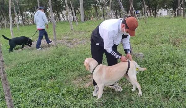 为什么视障者需要导盲犬? 为什么视障者需要导盲犬?