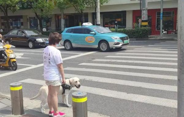 为什么视障者需要导盲犬? 为什么视障者需要导盲犬?