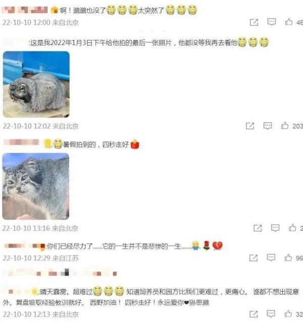 痛心！网红“狲思邈”意外死亡，专家澄清→