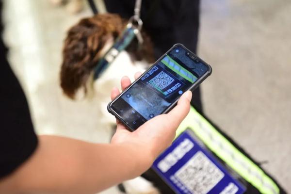 超小号警犬算雇佣“童工”吗？解答来了！