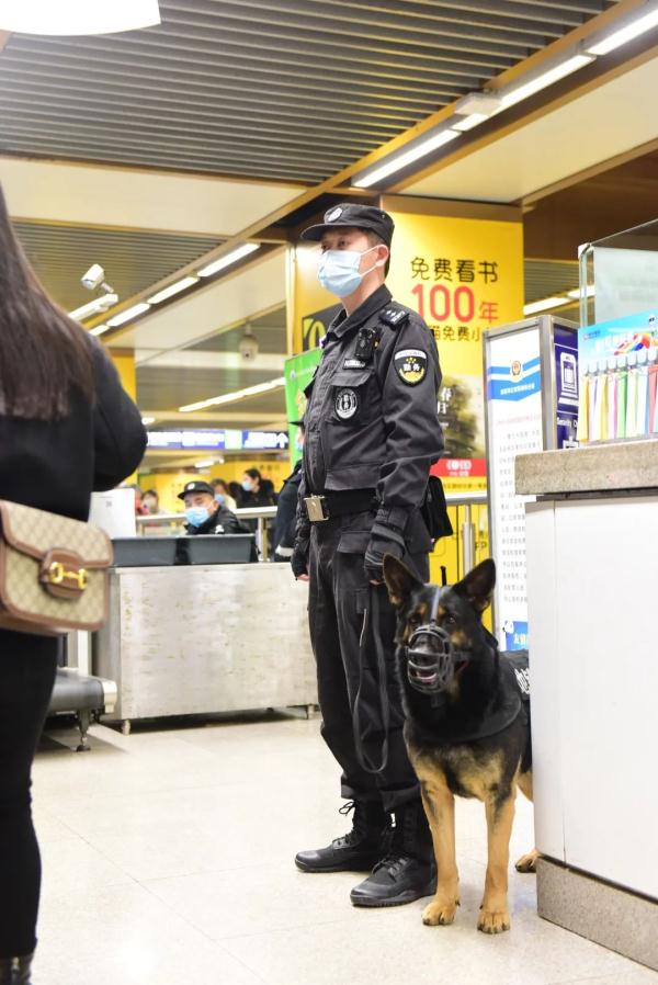 超小号警犬算雇佣“童工”吗？解答来了！