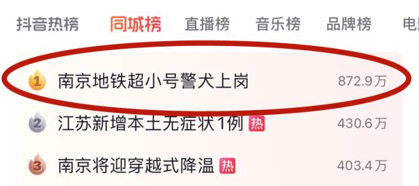 超小号警犬算雇佣“童工”吗？解答来了！
