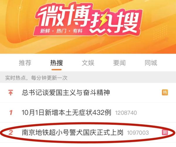超小号警犬算雇佣“童工”吗？解答来了！