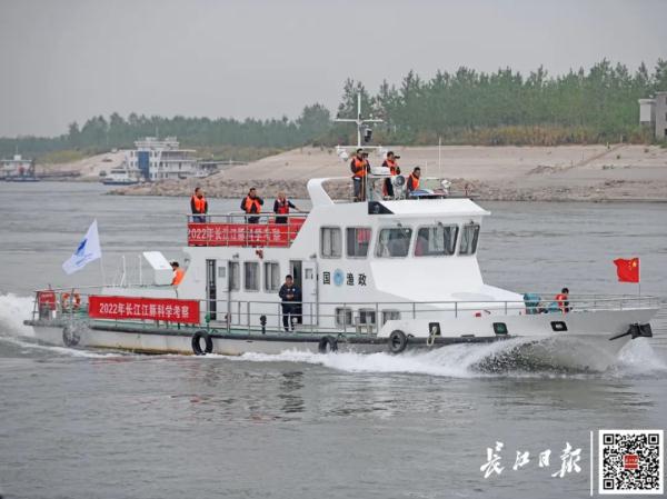 The Yangtze River is rarely dry. What is the living condition of finless porpoises?