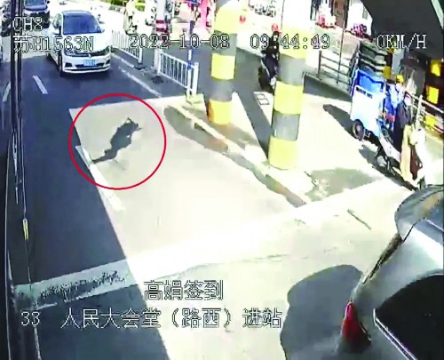 锁扣断裂,天桥上的工人悬挂半空!危急时刻公交车成“救生垫”